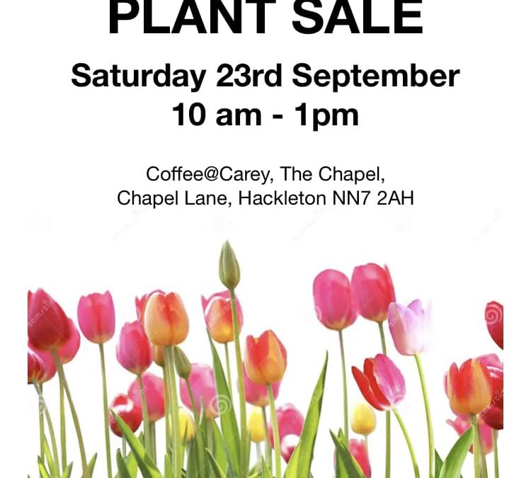 Plant Sale Hackleton
